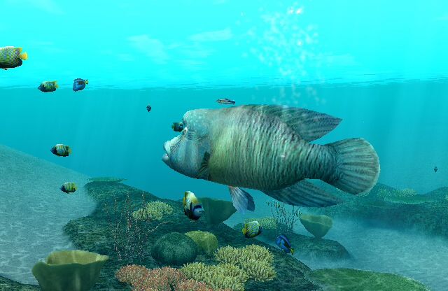 Endless Ocean: Blue World screenshot 3 for Wii